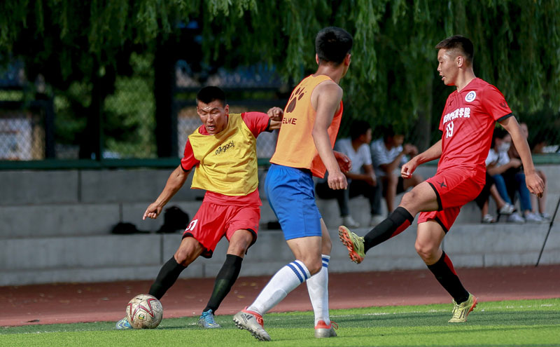 官方：桑德兰英超第23、24轮比赛时间将重新安排（官宣：桑德兰英超第23与24轮赛程将调整）