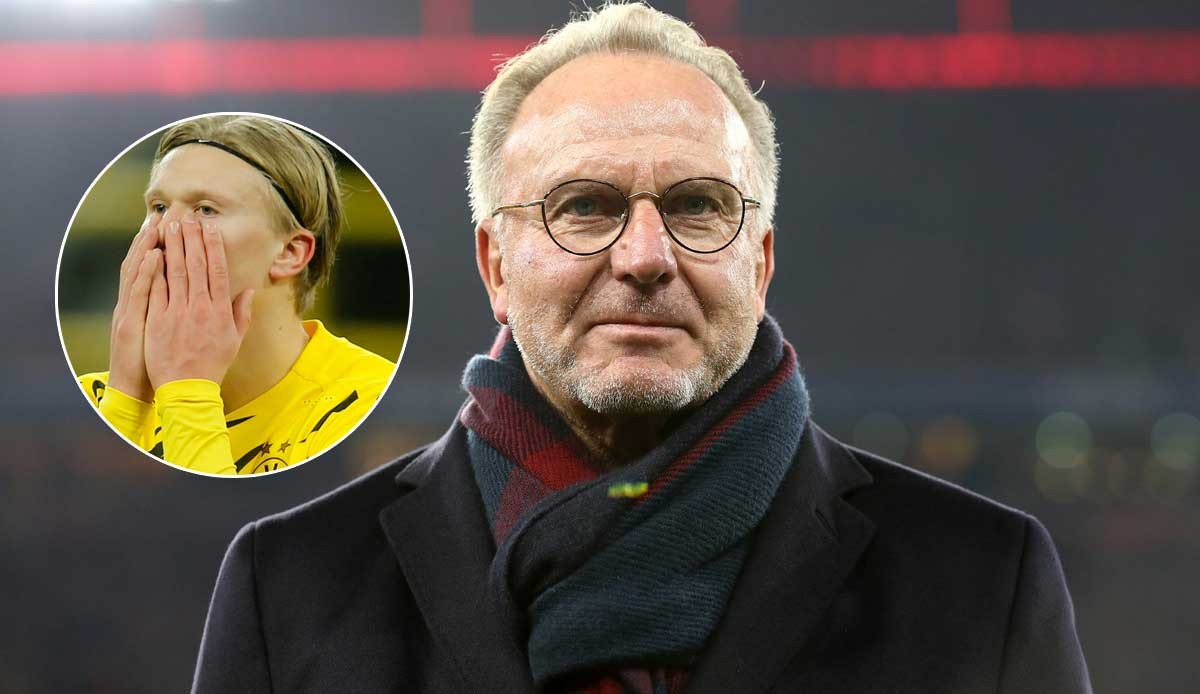 强队杀手！凯尔特人近5场先后击败魔术、活塞、骑士和尼克斯